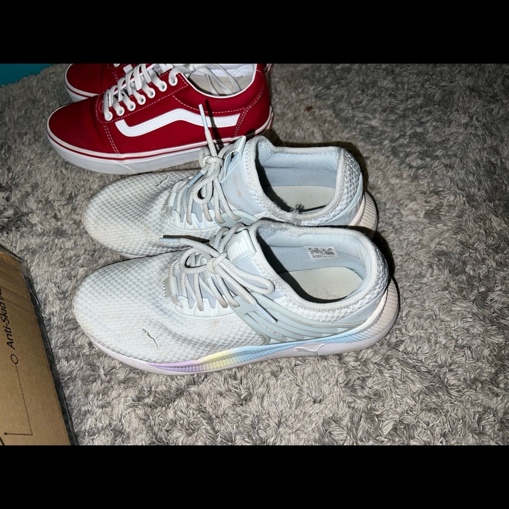 Pumas
